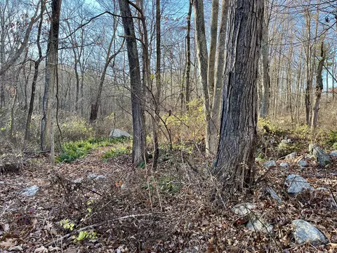 283 Windham Ave, Colchester, CT 06415