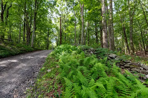 31 Holmes Rd, Roxbury, CT 06783