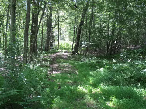 42 Lake Rd, Bozrah, CT 06334