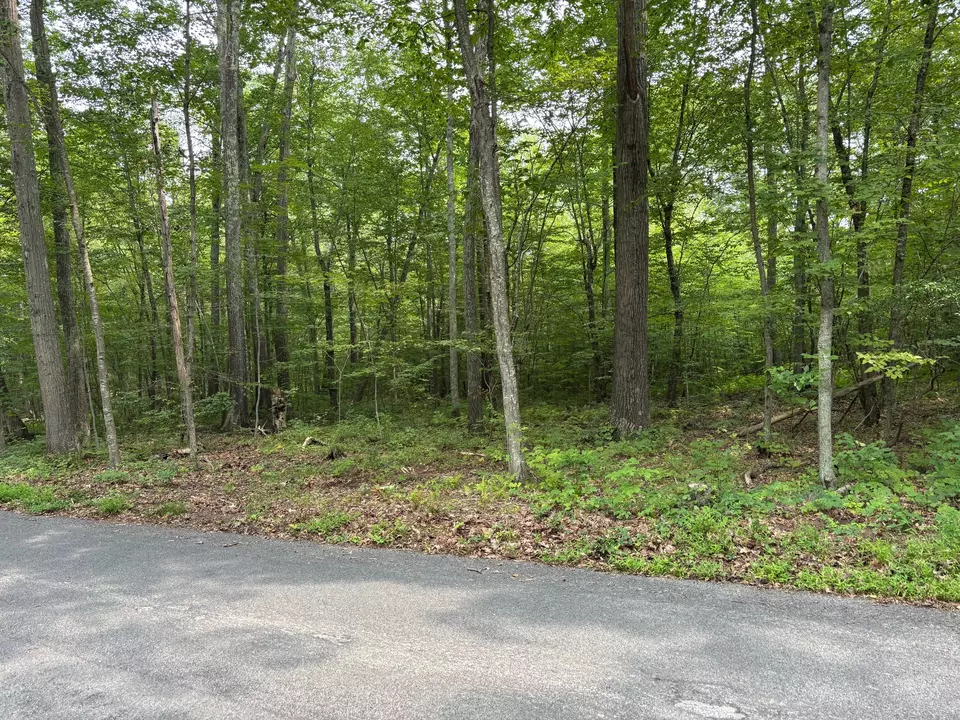  0 Wheeling Rd, Andover, CT 06232 photo 3