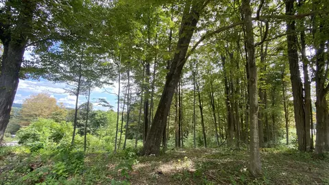 6 Kennedy Dr, Litchfield, CT 06778