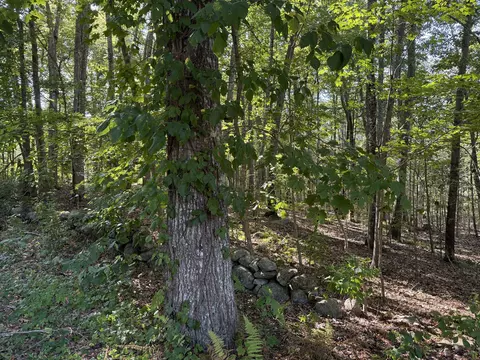 301 Montauk Ave, Stonington, CT 06378