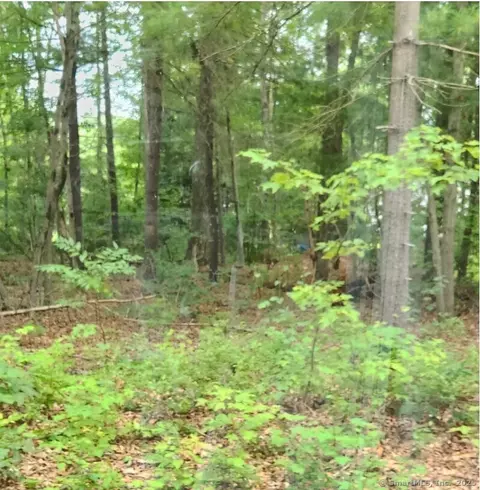 oak drive LOT 33, Mansfield, CT 06250