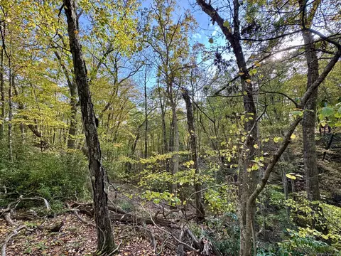 69 Moosehorn Rd, Roxbury, CT 06783