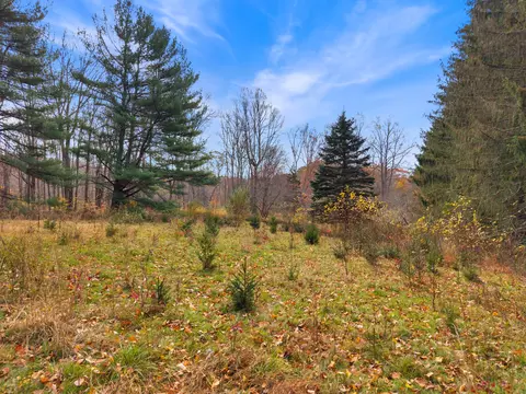 247 C Old Toll Rd, Madison, CT 06443