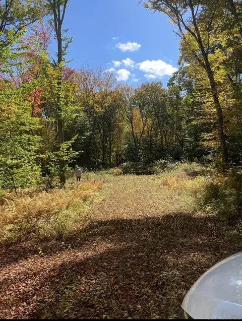 brook road LOT 4, Hampton, CT 06247 photo 3