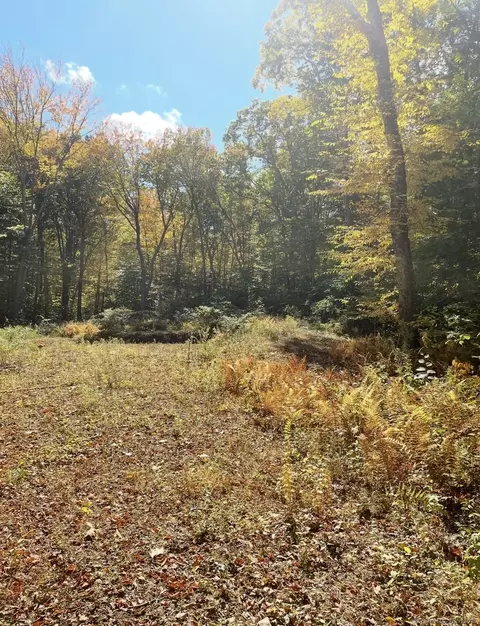 brook road LOT 4, Hampton, CT 06247 photo 4