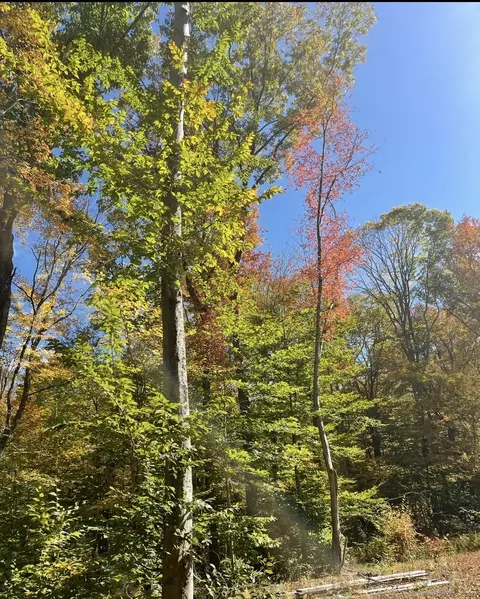 brook road LOT 4, Hampton, CT 06247