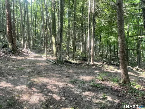 Railroad Street, Cornwall, CT 06753 photo 5