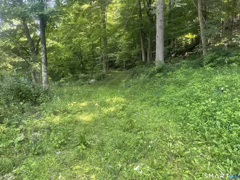 Railroad Street, Cornwall, CT 06753 photo 4
