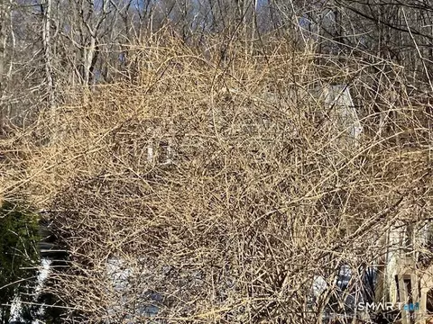 1 Parsons Dr, Waterbury, CT 06708