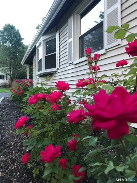 Other - 32 Jackson Rd, Enfield, CT 06082 photo 3 of 6