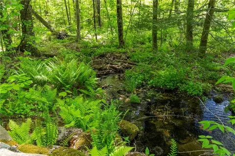13 Dew Rd, Barkhamsted, CT 06063 photo 6