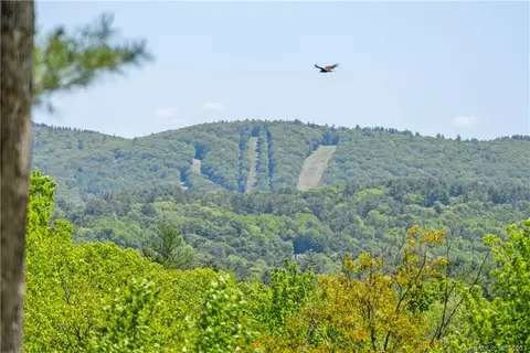 13 Dew Rd, Barkhamsted, CT 06063 photo 7