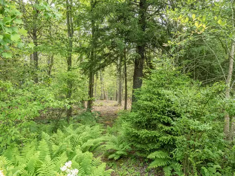 South Salem Road, Ridgefield, CT 06877