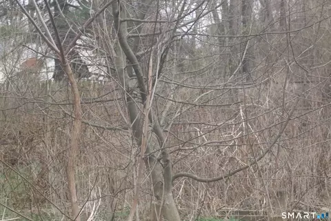 5 Arlington Rd, Bloomfield, CT 06002 photo 3