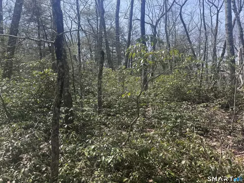 Windy Ridge Road, Warren, CT 06754 photo 7