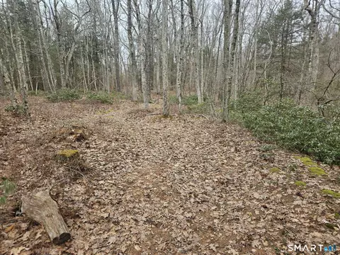 Windy Ridge Road, Warren, CT 06754 photo 3