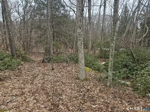 Windy Ridge Road, Warren, CT 06754 photo 6