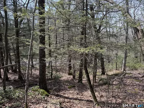 Windy Ridge Road, Warren, CT 06754 photo 9