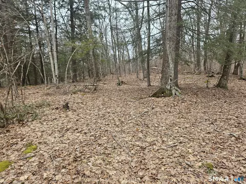 Windy Ridge Road, Warren, CT 06754 photo 4