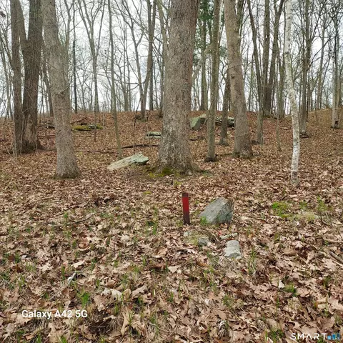 Merrow Road, Coventry, CT 06238 photo 4