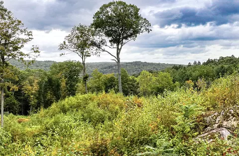 101 Lower Church Hill Rd, Washington, CT 06794