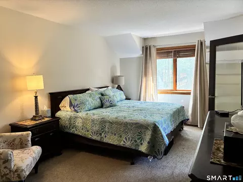 3 Westside Dr #17, North Grosvenor Dale, CT 06255 photo 22