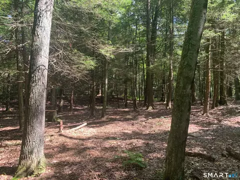 lot1 W Chalybes Rd, Roxbury, CT 06783