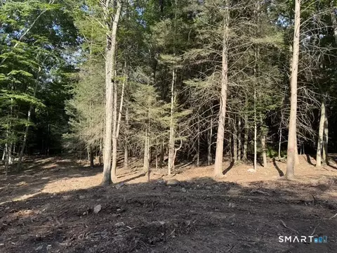 lot1 W Chalybes Rd, Roxbury, CT 06783