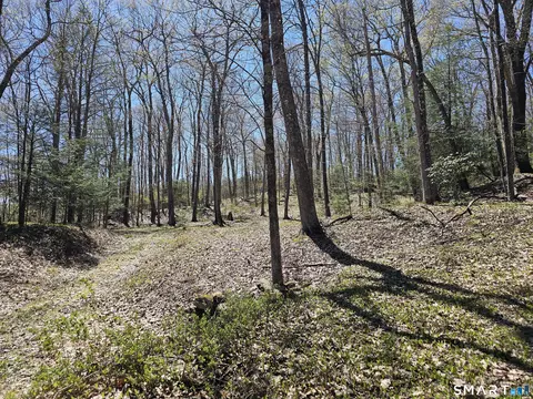 307 North St, Roxbury, CT 06783