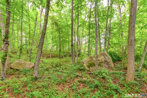 Exterior - 73 Long Hill Rd, Deep River, CT 06417 photo 6 of 8