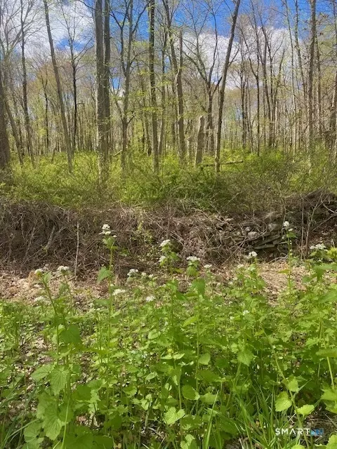 0 Clark Hill Rd, East Haddam, CT 06423