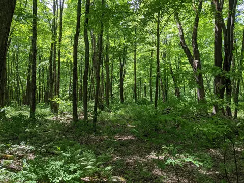 17 Old Homestead Ln, Kent, CT 06757