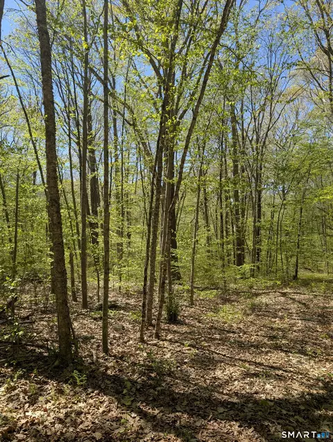 Englewood Trail, Coventry, CT 06238