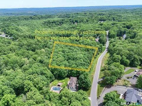 7 Holley Ln, Prospect, CT 06712 photo 18