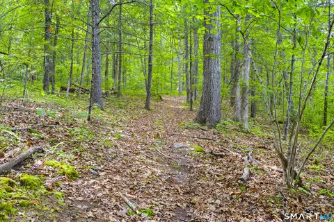 Other - 156 Cranberry Bog Rd, Killingly, CT 06239 photo 1 of 9