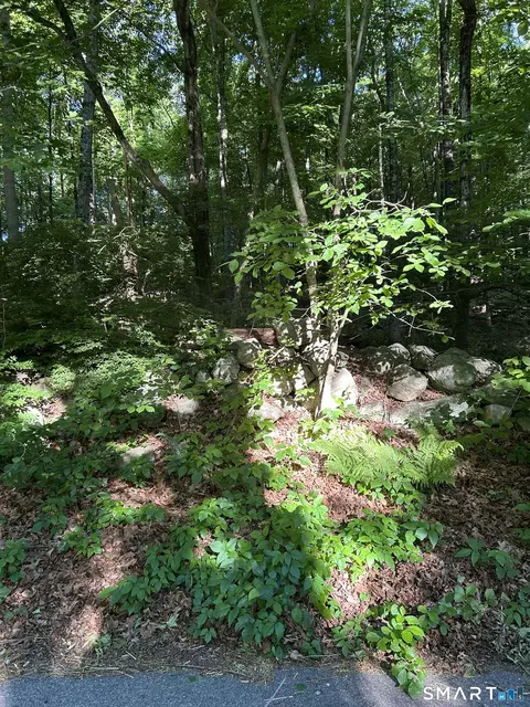 Cobbs Mill Road, Wilton, CT 06897