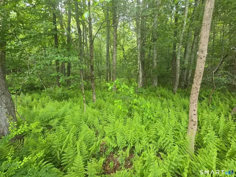 Boston Hill Road, Andover, CT 06232 photo 2