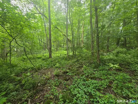 Boston Hill Road, Andover, CT 06232