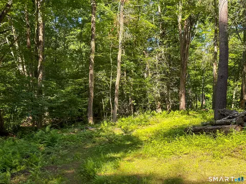 00 Great Hollow Rd, Cornwall, CT 06753 photo 19