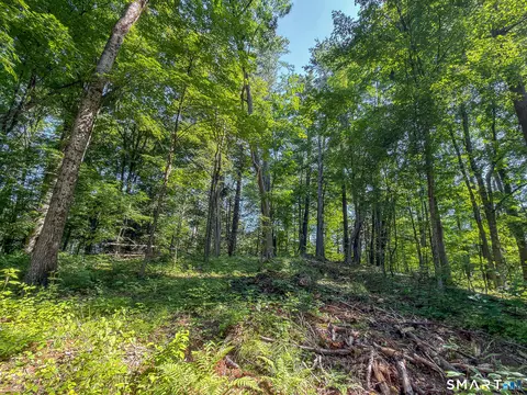 00 Great Hollow Rd, Cornwall, CT 06753 photo 16