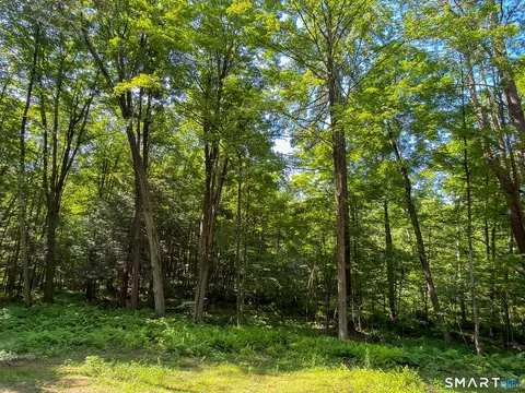 00 Great Hollow Rd, Cornwall, CT 06753 photo 18