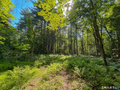 00 Great Hollow Rd, Cornwall, CT 06753 photo 10