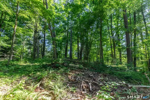 00 Great Hollow Rd, Cornwall, CT 06753 photo 8