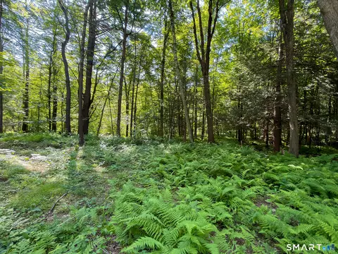 00 Great Hollow Rd, Cornwall, CT 06753 photo 20