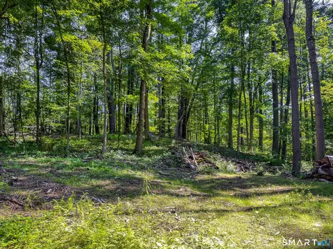 00 Great Hollow Rd, Cornwall, CT 06753 photo 13