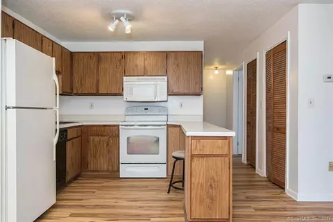 1323 Harbor View Dr #1323, Rocky Hill, CT 06067
