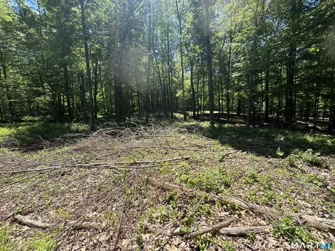 295 Providence Tpke, Hampton, CT 06247 photo 4