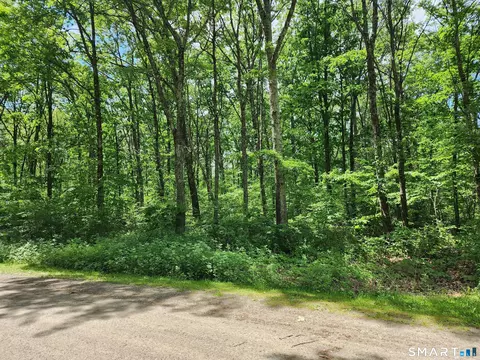 11 Old Paddock Ln, Kent, CT 06757 photo 6
